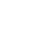 BLACK LINK Official Store